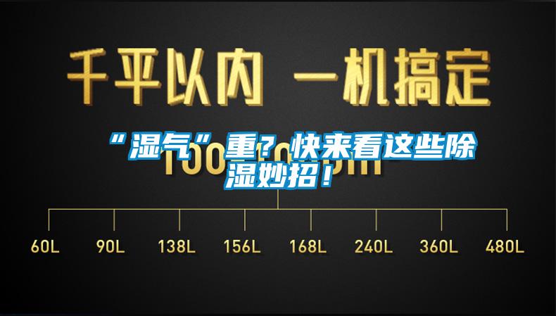 “濕氣”重？快來看這些除濕妙招！