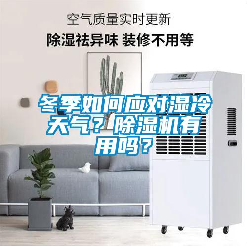 冬季如何應(yīng)對濕冷天氣？除濕機有用嗎？