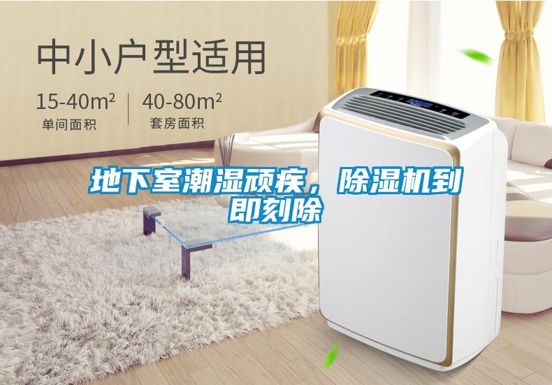 地下室潮濕頑疾，除濕機(jī)到即刻除