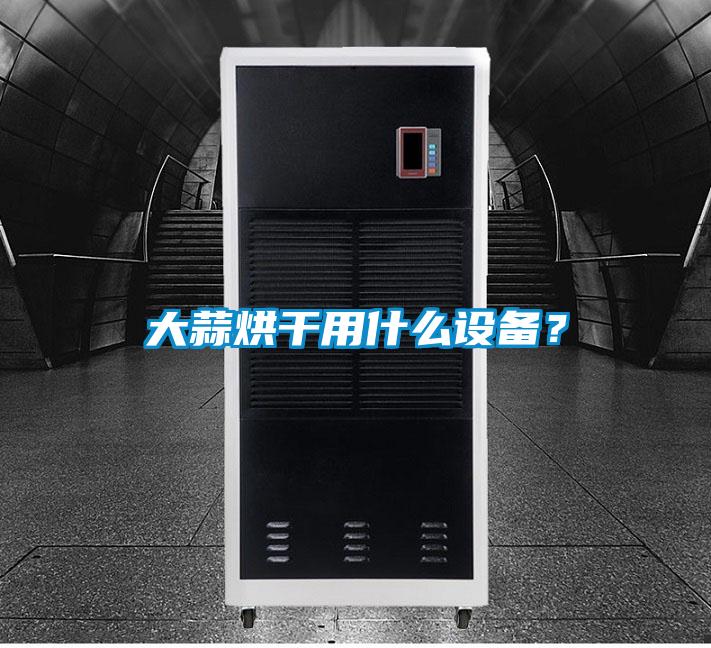 大蒜烘干用什么設備？