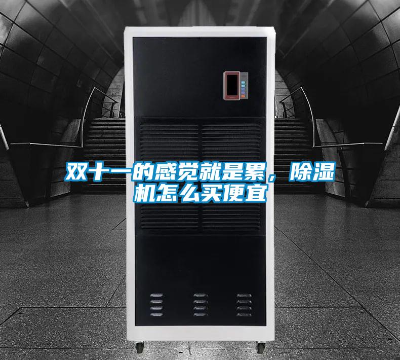 雙十一的感覺(jué)就是累，除濕機(jī)怎么買便宜