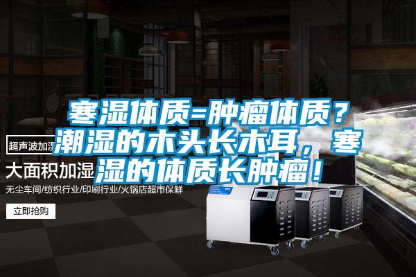 寒濕體質=腫瘤體質？潮濕的木頭長木耳，寒濕的體質長腫瘤！