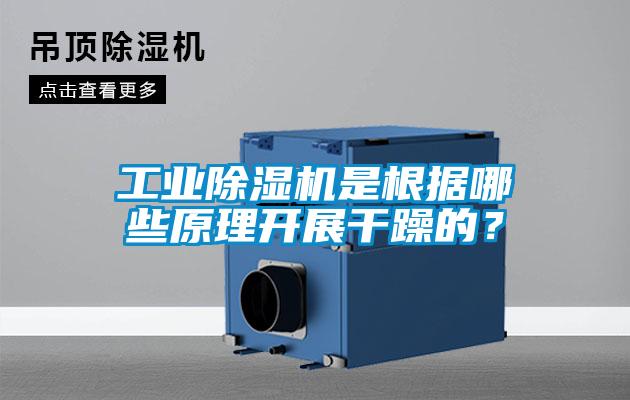 工業除濕機是根據哪些原理開展干躁的？