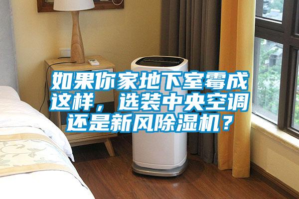 如果你家地下室霉成這樣,選裝中央空調(diào)還是新風(fēng)除濕機?