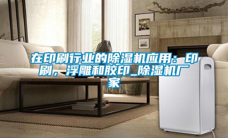 在印刷行業的除濕機應用：印刷，浮雕和膠印_除濕機廠家