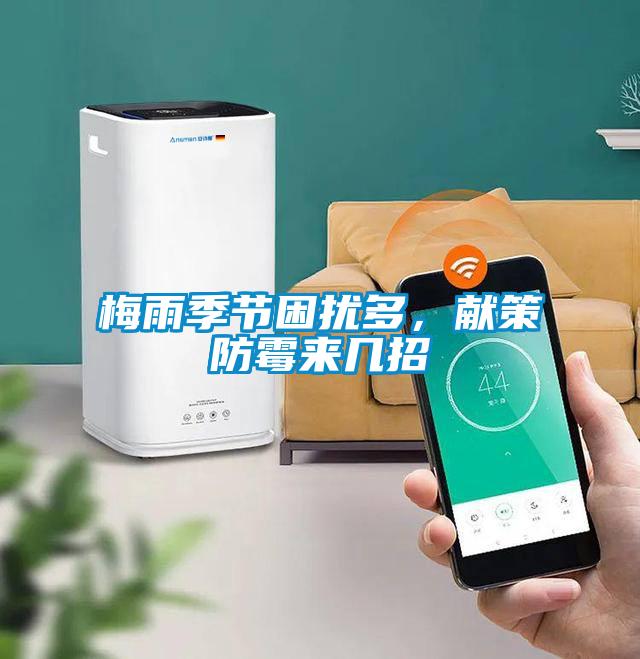 梅雨季節困擾多，獻策防霉來幾招