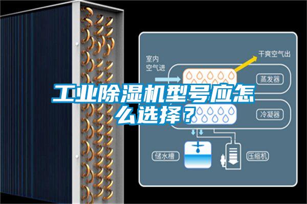 工業(yè)除濕機(jī)型號應(yīng)怎么選擇？