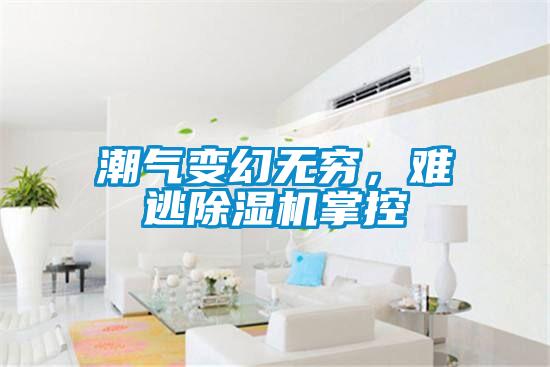 潮氣變幻無窮，難逃除濕機掌控