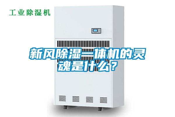 新風(fēng)除濕一體機的靈魂是什么？