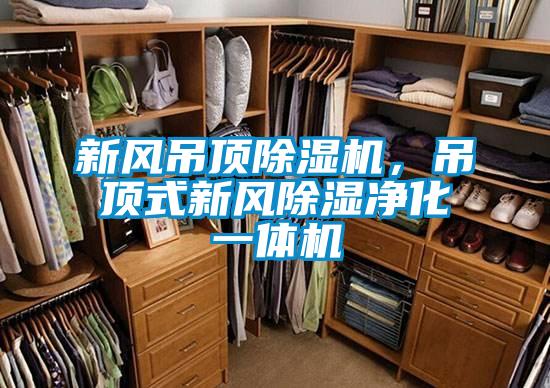 新風吊頂除濕機,吊頂式新風除濕凈化一體機