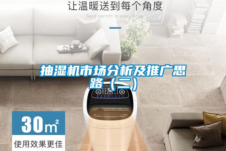 抽濕機(jī)市場(chǎng)分析及推廣思路(二)