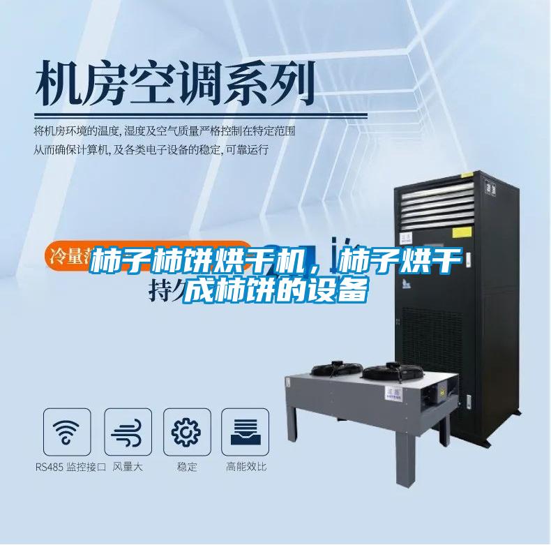 柿子柿餅烘干機，柿子烘干成柿餅的設(shè)備