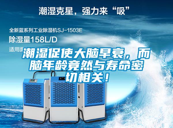 潮濕促使大腦早衰，而腦年齡竟然與壽命密切相關！