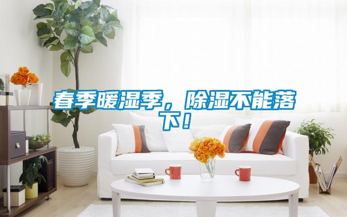 春季暖濕季，除濕不能落下！