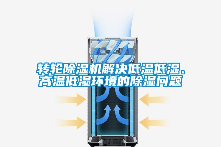 轉輪除濕機解決低溫低濕、高溫低濕環境的除濕問題