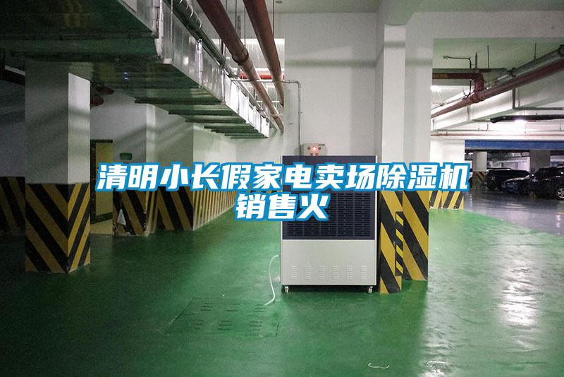 清明小長(zhǎng)假家電賣場(chǎng)除濕機(jī)銷售火