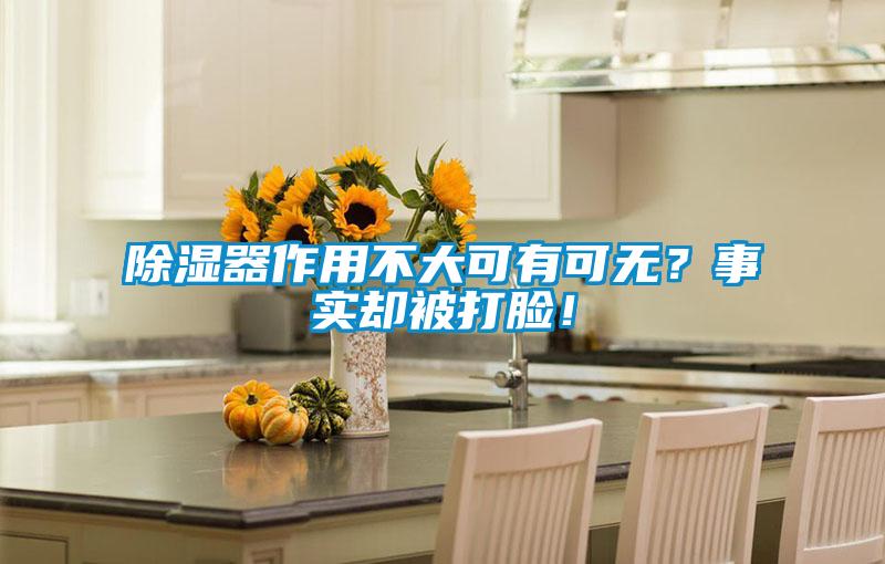 除濕器作用不大可有可無？事實卻被打臉！