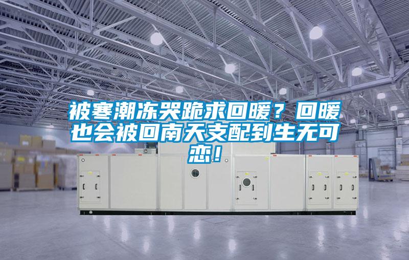 被寒潮凍哭跪求回暖?回暖也會被回南天支配到生無可戀!