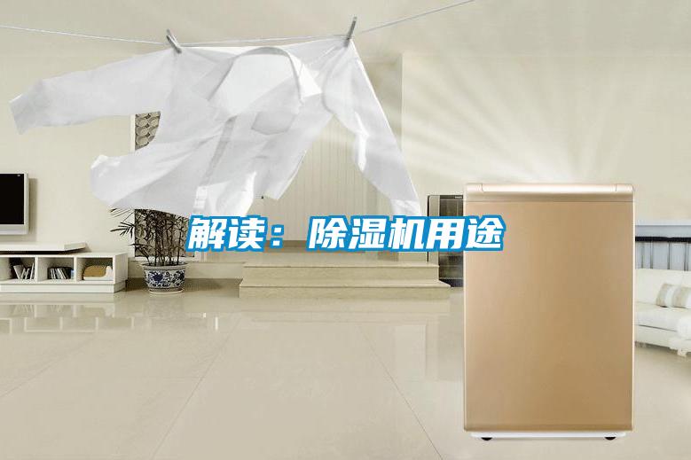 解讀:除濕機(jī)用途