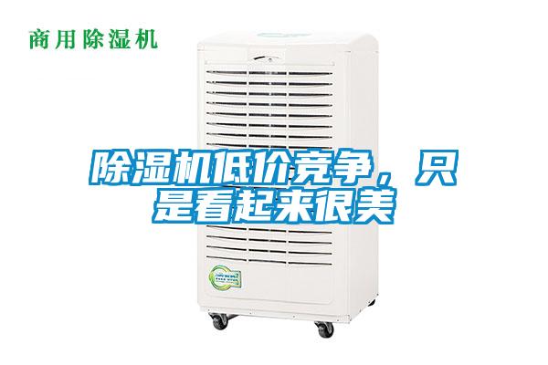 除濕機低價競爭，只是看起來很美