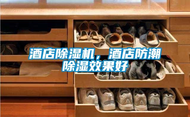酒店除濕機，酒店防潮除濕效果好
