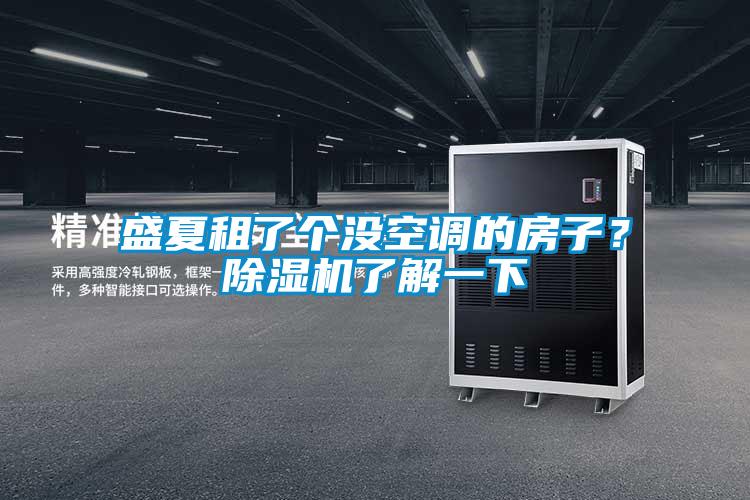 盛夏租了個沒空調(diào)的房子？除濕機(jī)了解一下