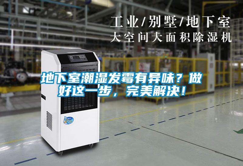 地下室潮濕發霉有異味？做好這一步，完美解決！