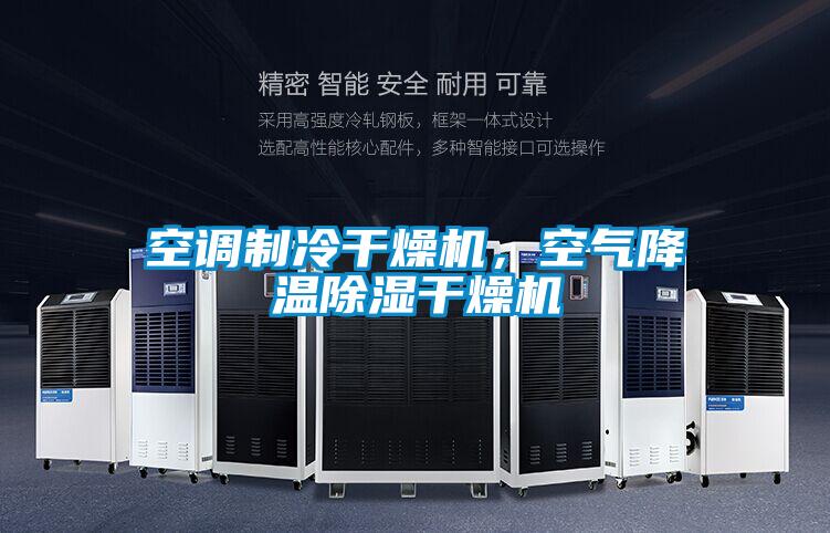 空調(diào)制冷干燥機(jī),空氣降溫除濕干燥機(jī)