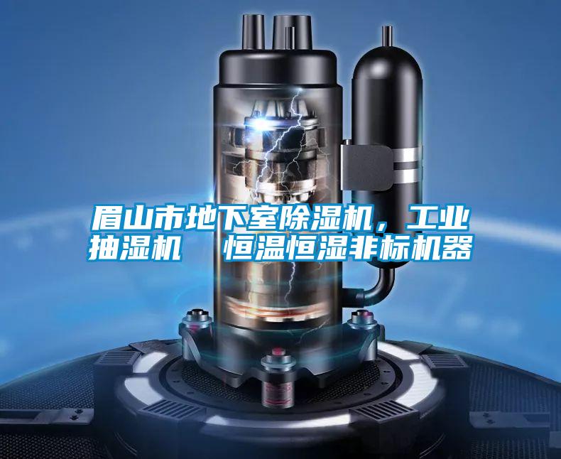眉山市地下室除濕機(jī),工業(yè)抽濕機(jī) 恒溫恒濕非標(biāo)機(jī)器