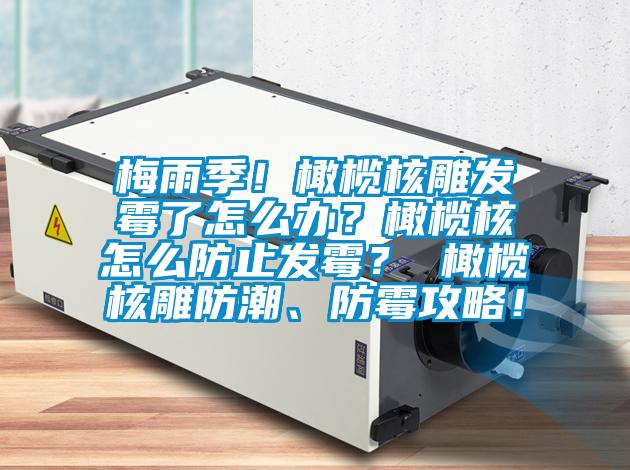 梅雨季！橄欖核雕發(fā)霉了怎么辦？橄欖核怎么防止發(fā)霉？ 橄欖核雕防潮、防霉攻略！