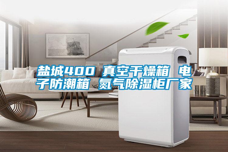 鹽城400℃真空干燥箱 電子防潮箱 氮?dú)獬凉窆駨S家