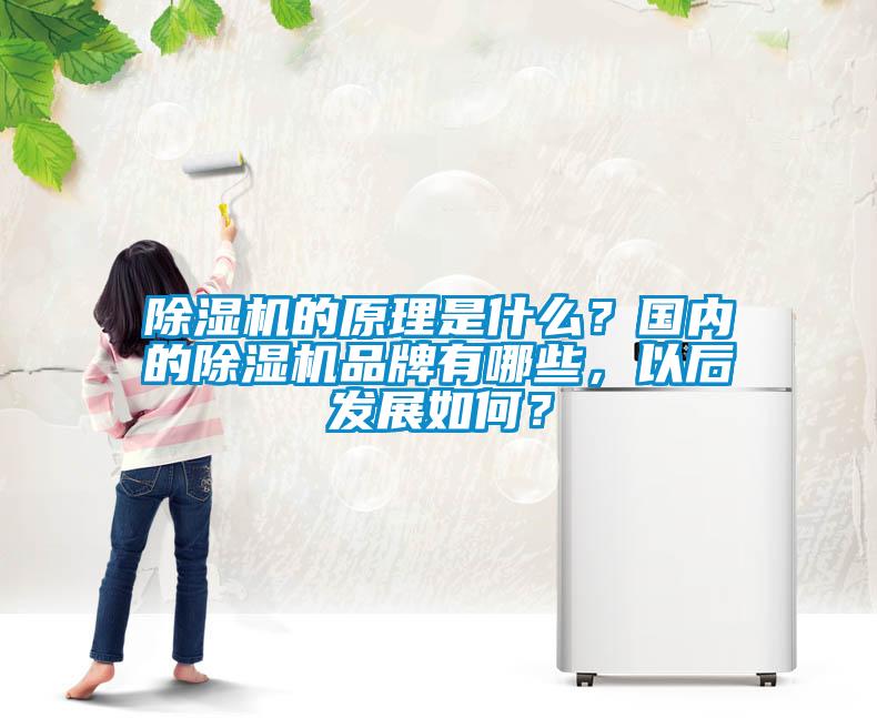 除濕機的原理是什么？國內的除濕機品牌有哪些，以后發展如何？