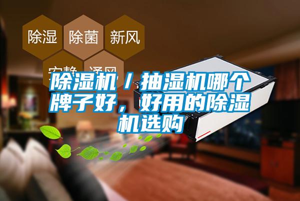 除濕機／抽濕機哪個牌子好，好用的除濕機選購