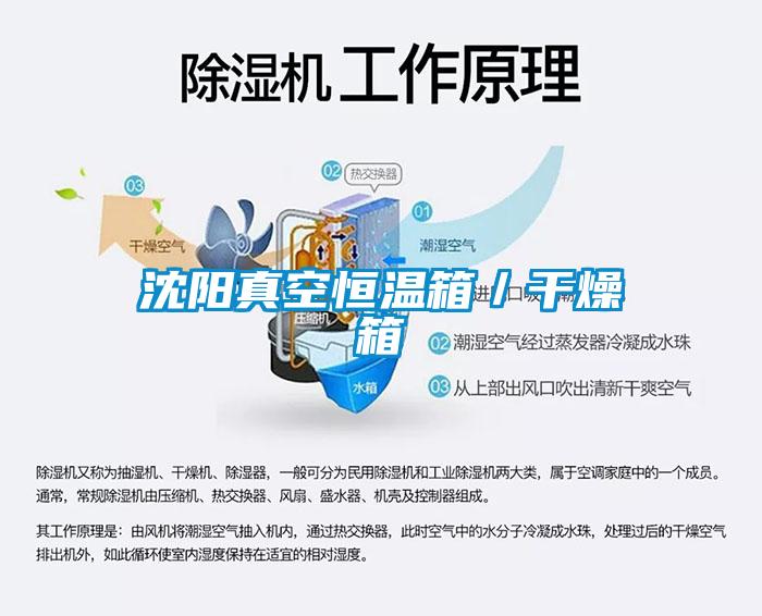 沈陽(yáng)真空恒溫箱/干燥箱