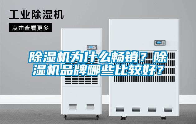 除濕機(jī)為什么暢銷？除濕機(jī)品牌哪些比較好？