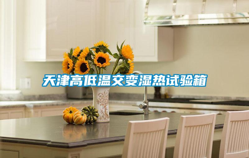 天津高低溫交變濕熱試驗(yàn)箱