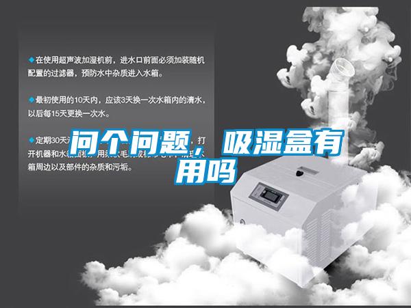 問個問題，吸濕盒有用嗎