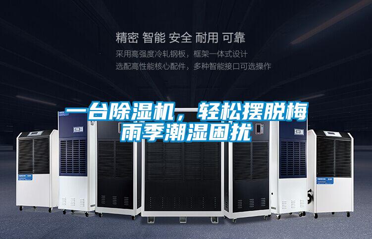 一臺除濕機,輕松擺脫梅雨季潮濕困擾