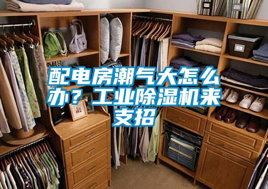 配電房潮氣大怎么辦？工業(yè)除濕機來支招