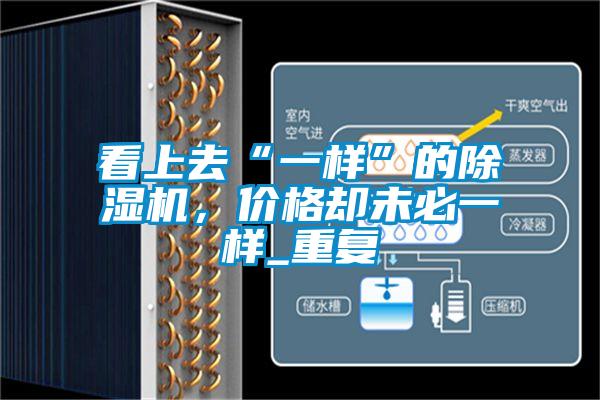 看上去“一樣”的除濕機，價格卻未必一樣_重復(fù)