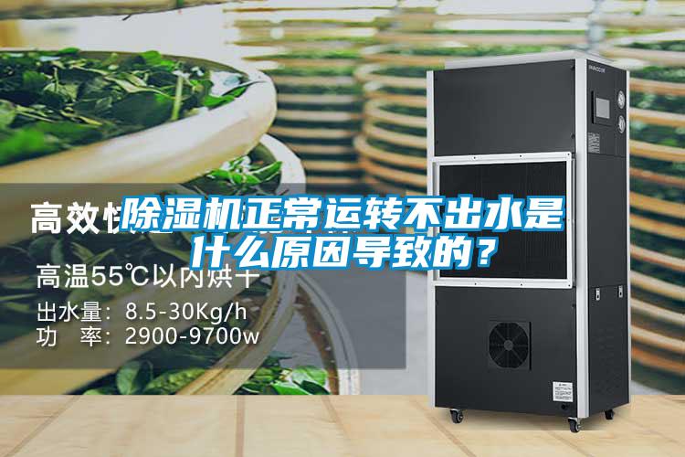 除濕機(jī)正常運(yùn)轉(zhuǎn)不出水是什么原因?qū)е碌模?/></p>
						    <p style=