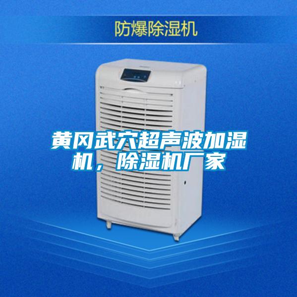 黃岡武穴超聲波加濕機(jī)，除濕機(jī)廠家