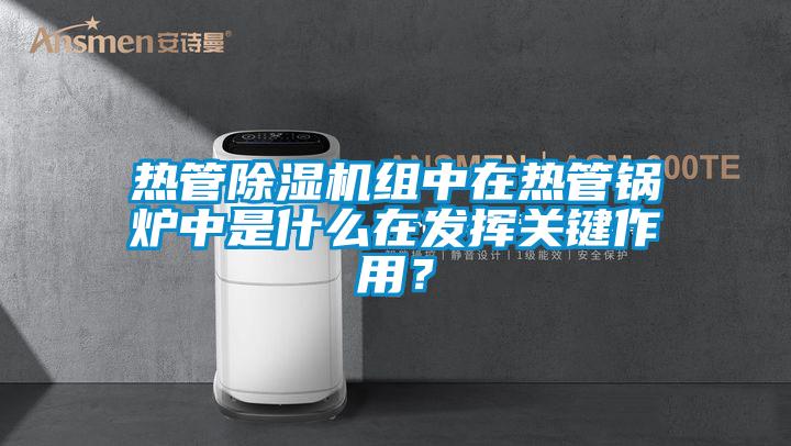 熱管除濕機組中在熱管鍋爐中是什么在發揮關鍵作用?