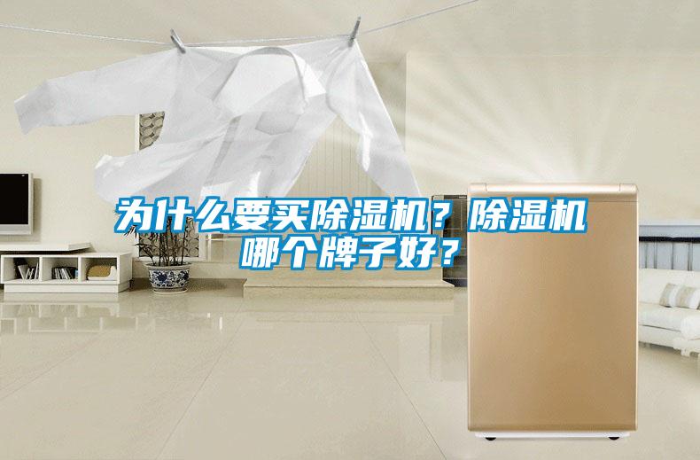 為什么要買除濕機(jī)?除濕機(jī)哪個(gè)牌子好?