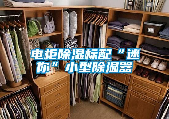 電柜除濕標(biāo)配“迷你”小型除濕器