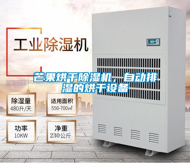 芒果烘干除濕機，自動排濕的烘干設(shè)備