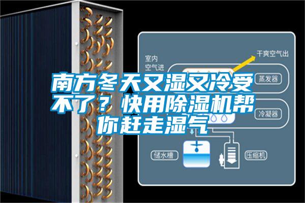 南方冬天又濕又冷受不了？快用除濕機(jī)幫你趕走濕氣