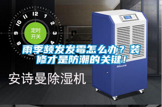 雨季頻發發霉怎么辦?裝修才是防潮的關鍵!