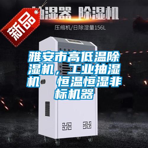 雅安市高低溫除濕機,工業抽濕機 恒溫恒濕非標機器