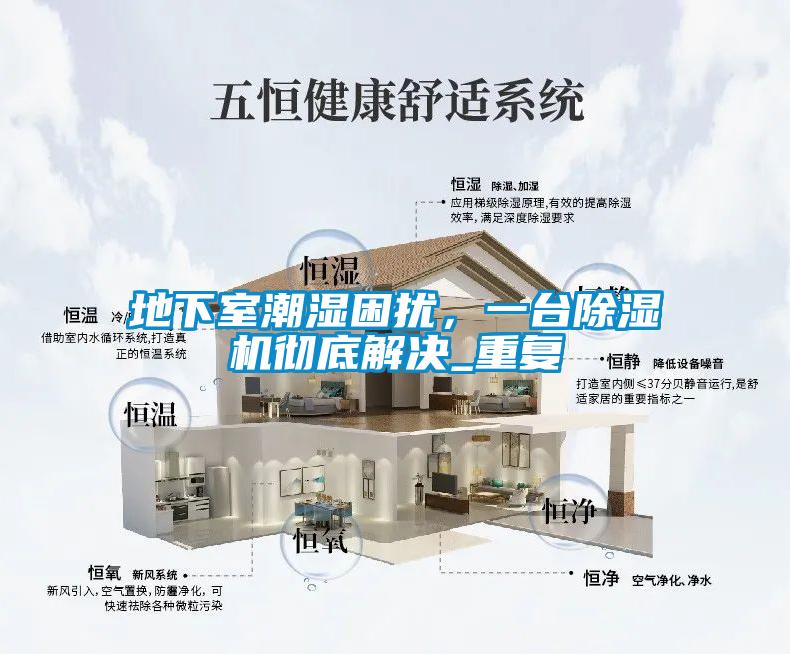 地下室潮濕困擾,一臺除濕機徹底解決_重復